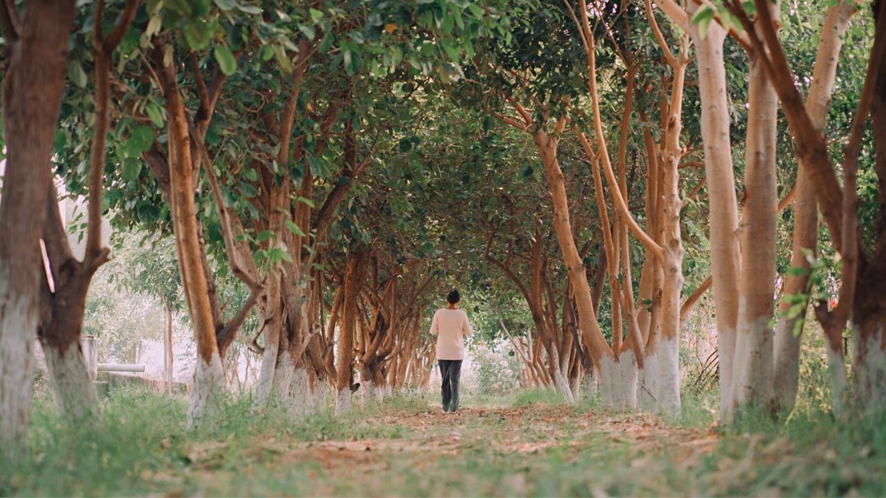 Anantvan Ranthambore By Shrigo Hotels Khilchīpur Zewnętrze zdjęcie